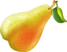 Organic Rasoyi