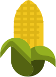 Organic Rasoyi