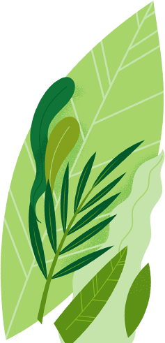 Organic Rasoyi