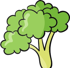Organic Rasoyi