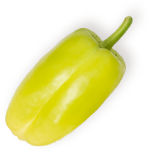 Organic Rasoyi
