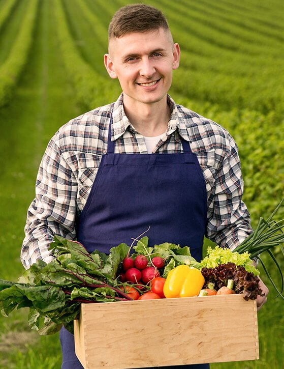 Organic Rasoyi