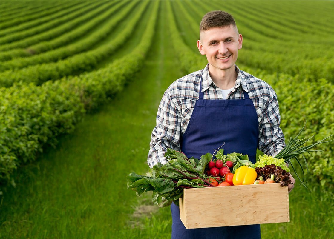 Organic Rasoyi
