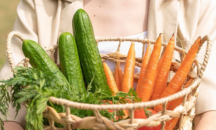 Organic Rasoyi