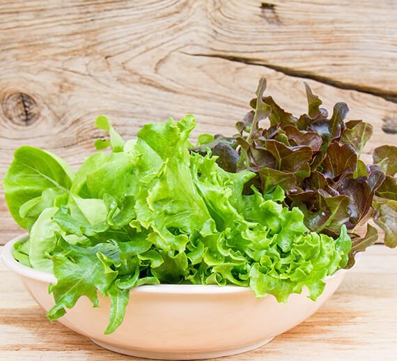 Organic Rasoyi
