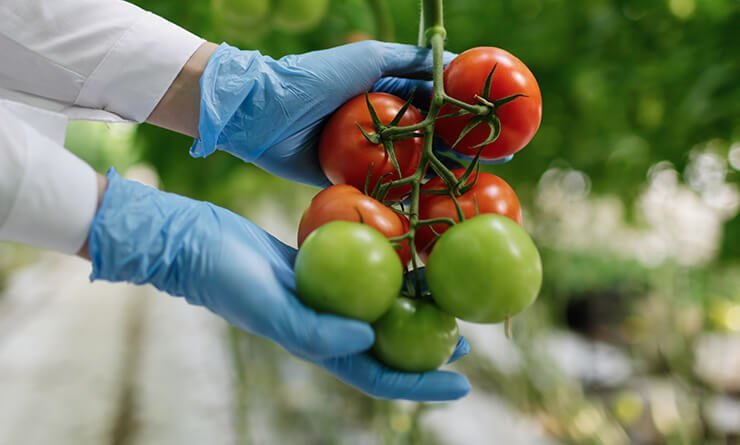 Organic Rasoyi