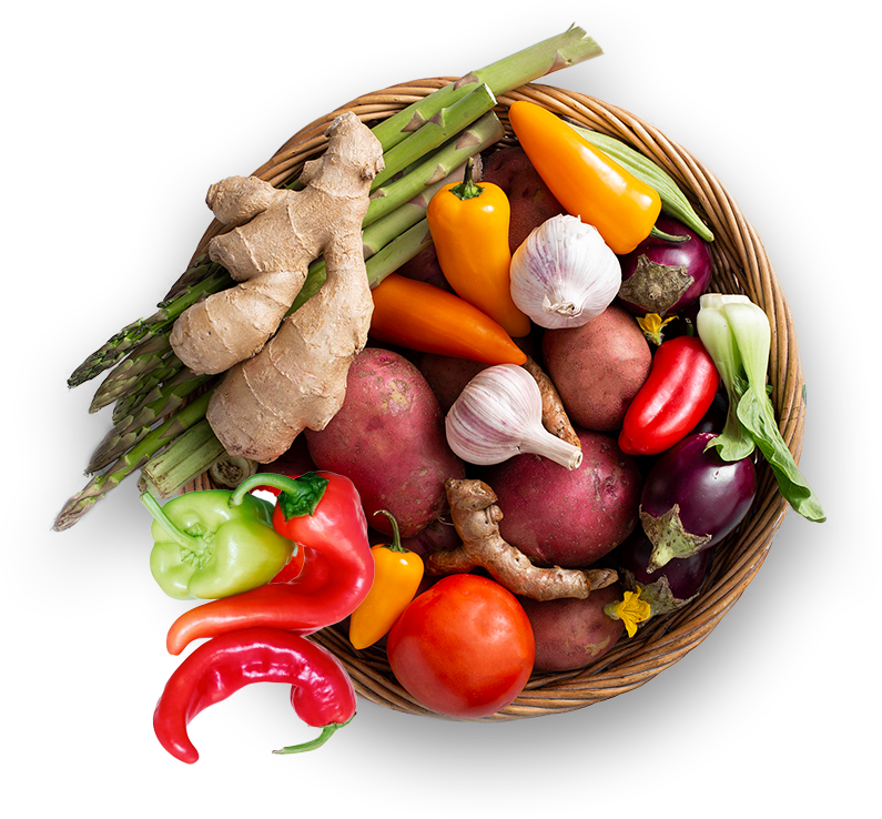 Organic Rasoyi